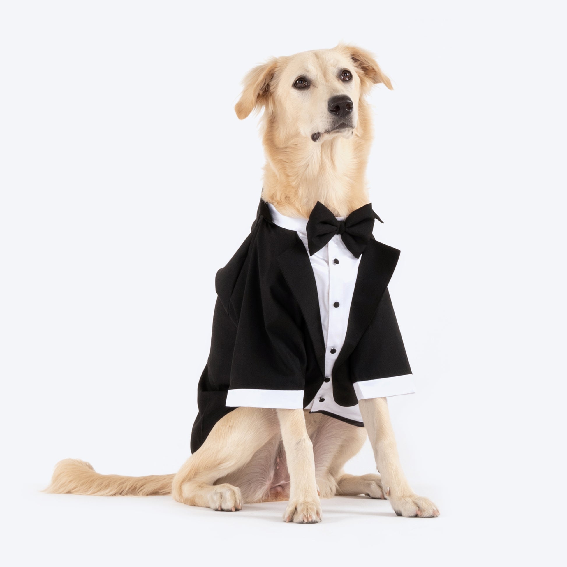 HUFT Personalised Tuxedo for Dogs - Heads Up For Tails