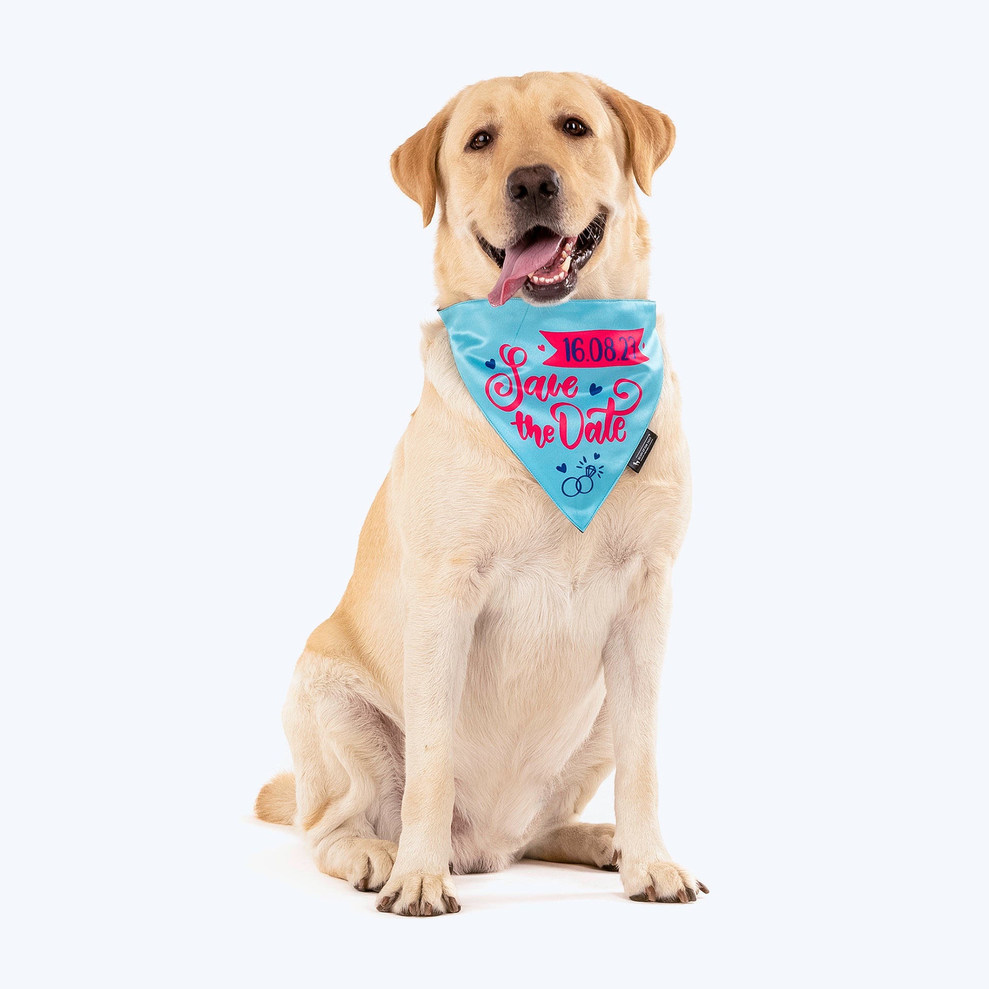 HUFT Personalised (Date) Save The Date Proposal Dog Bandana - Heads Up For Tails