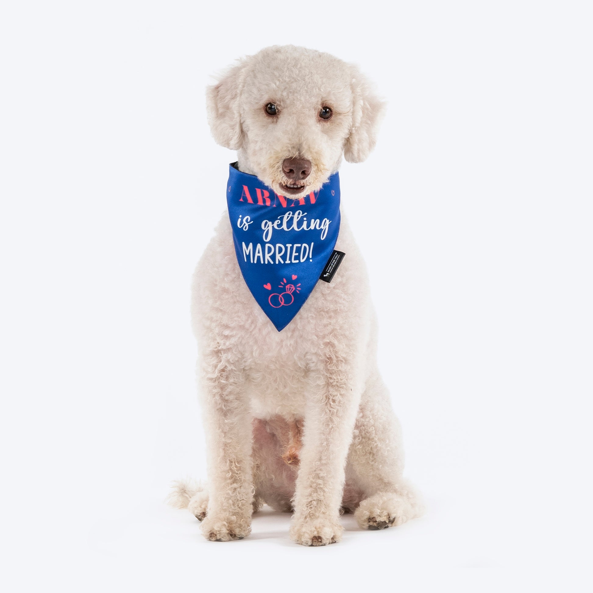 HUFT Personalised (Name) Is Getting Married Proposal Dog Bandana - Heads Up For Tails