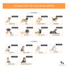 HUFT Double Sided Brush for Dogs & Cats - Orange - Heads Up For Tails
