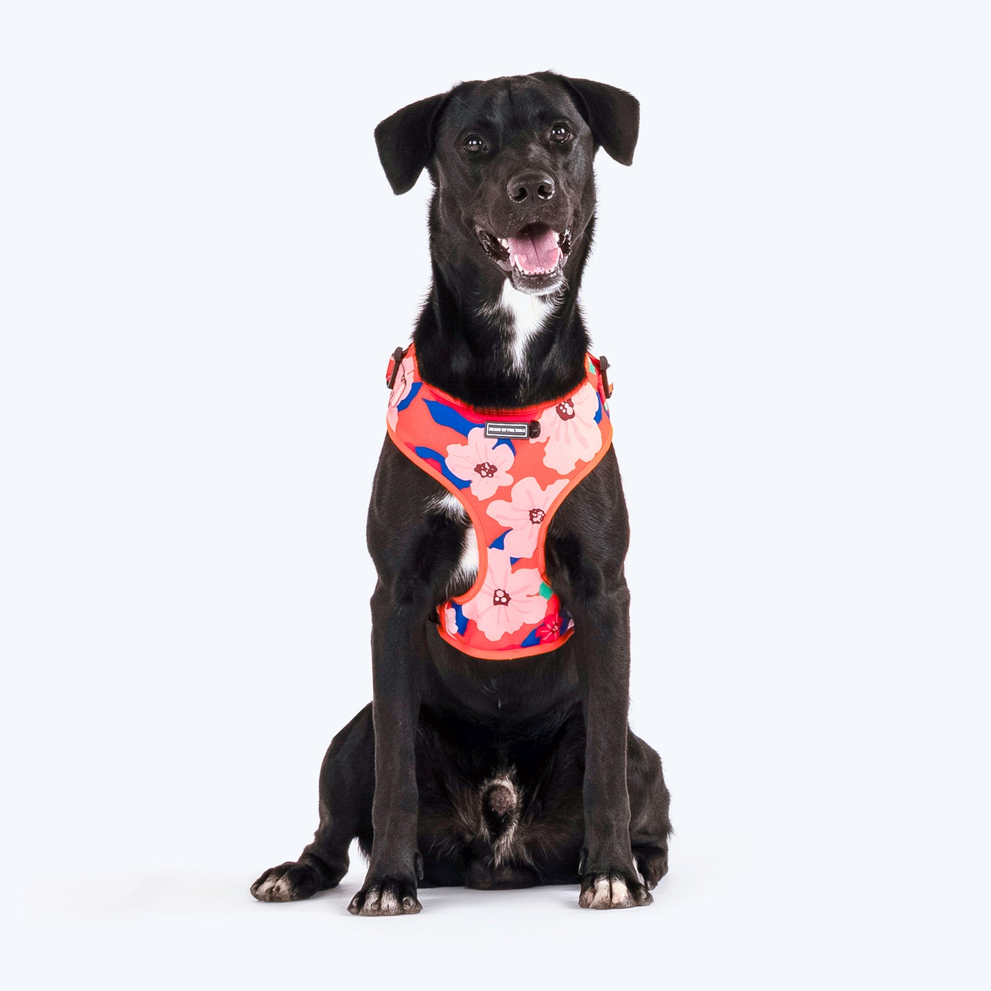 HUFT Petal Play Adjustable Dog Harness - Orange - Heads Up For Tails