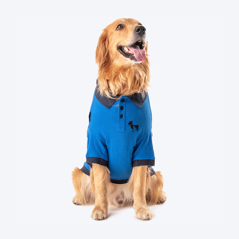 HUFT Polo T-Shirt For Dog Blue – Heads Up For Tails