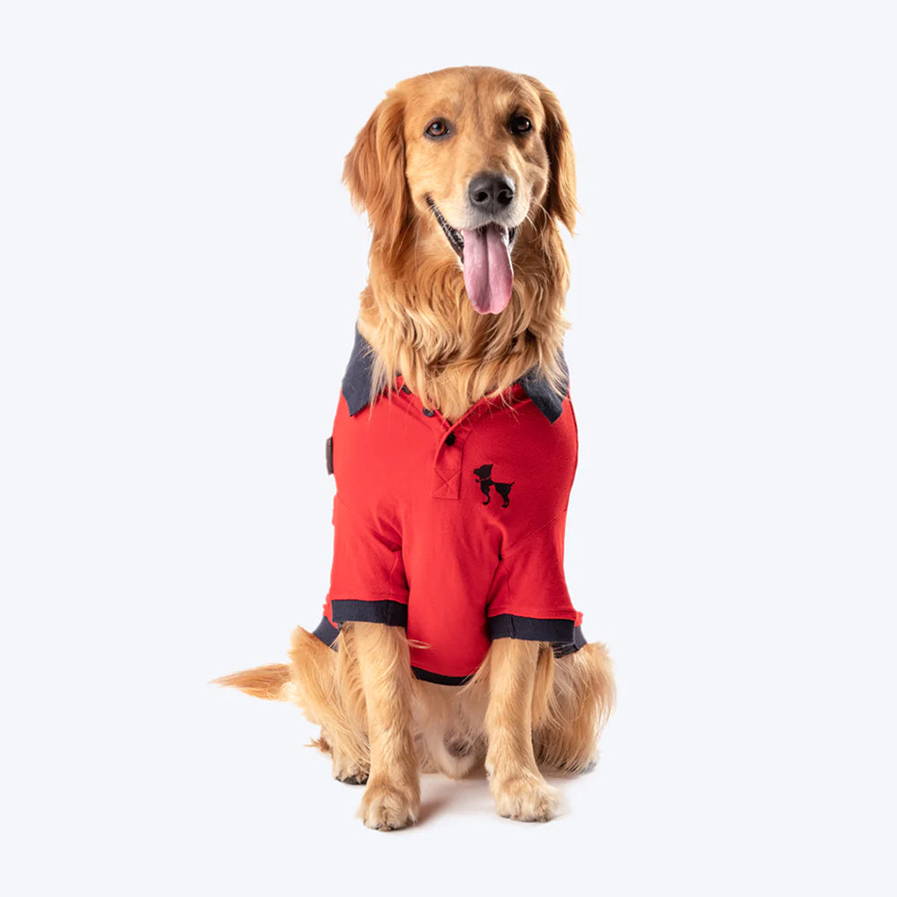 HUFT Polo T-Shirt For Dog - Red - Heads Up For Tails