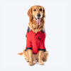 HUFT Polo T-Shirt For Dog - Red - Heads Up For Tails