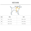 HUFT Pride Rainbow Popsicle Dog H-Harness - Heads Up For Tails
