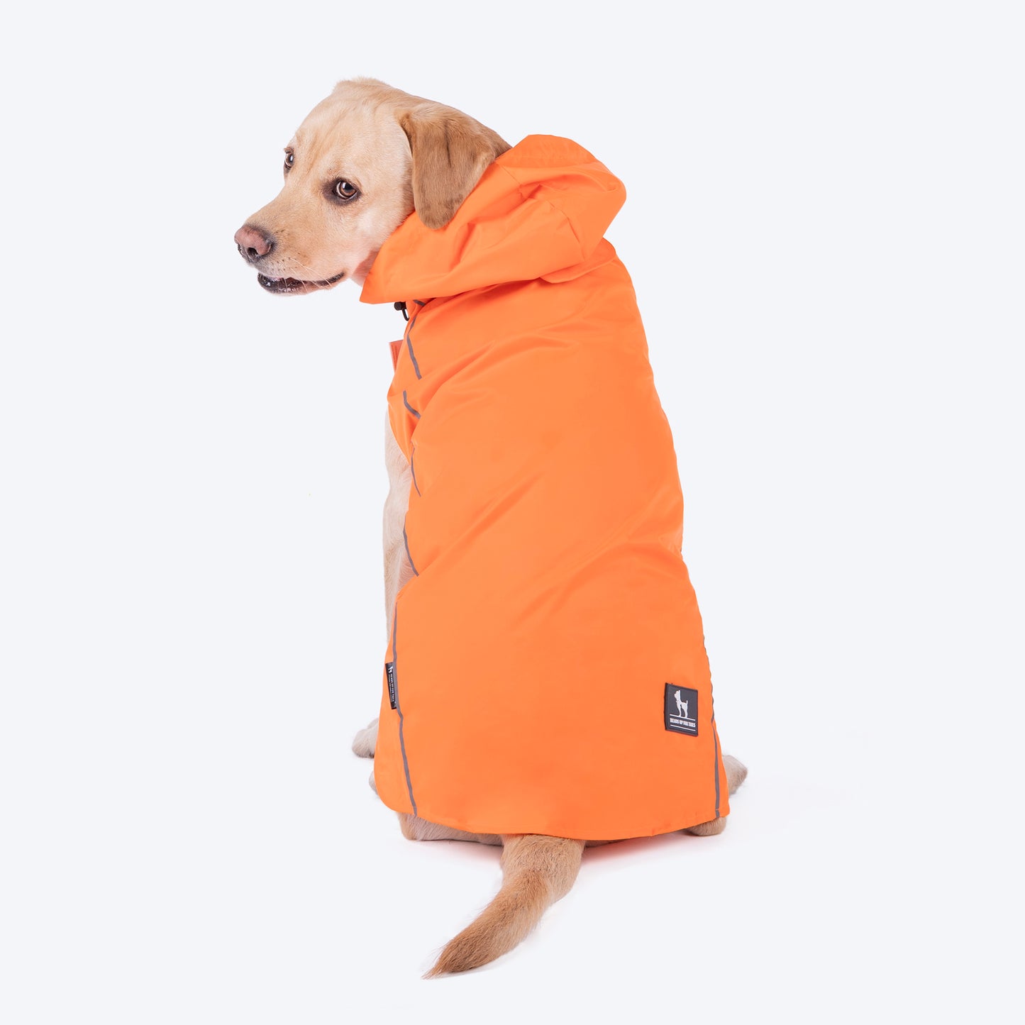 HUFT Rain Dancers Raincoats For Dog & Cat - Orange - Heads Up For Tails