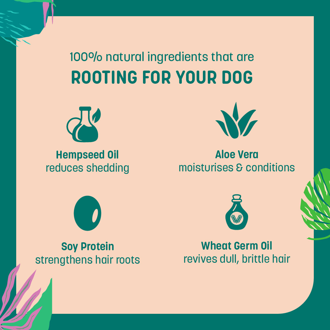 HUFT Shed Control Natural Shampoo For Dogs - Heads Up For Tails