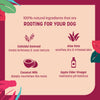 HUFT Natural Itch Relief Oatmeal Shampoo For Dogs - Apple Cider Vinegar & Aloe Vera - Heads Up For Tails