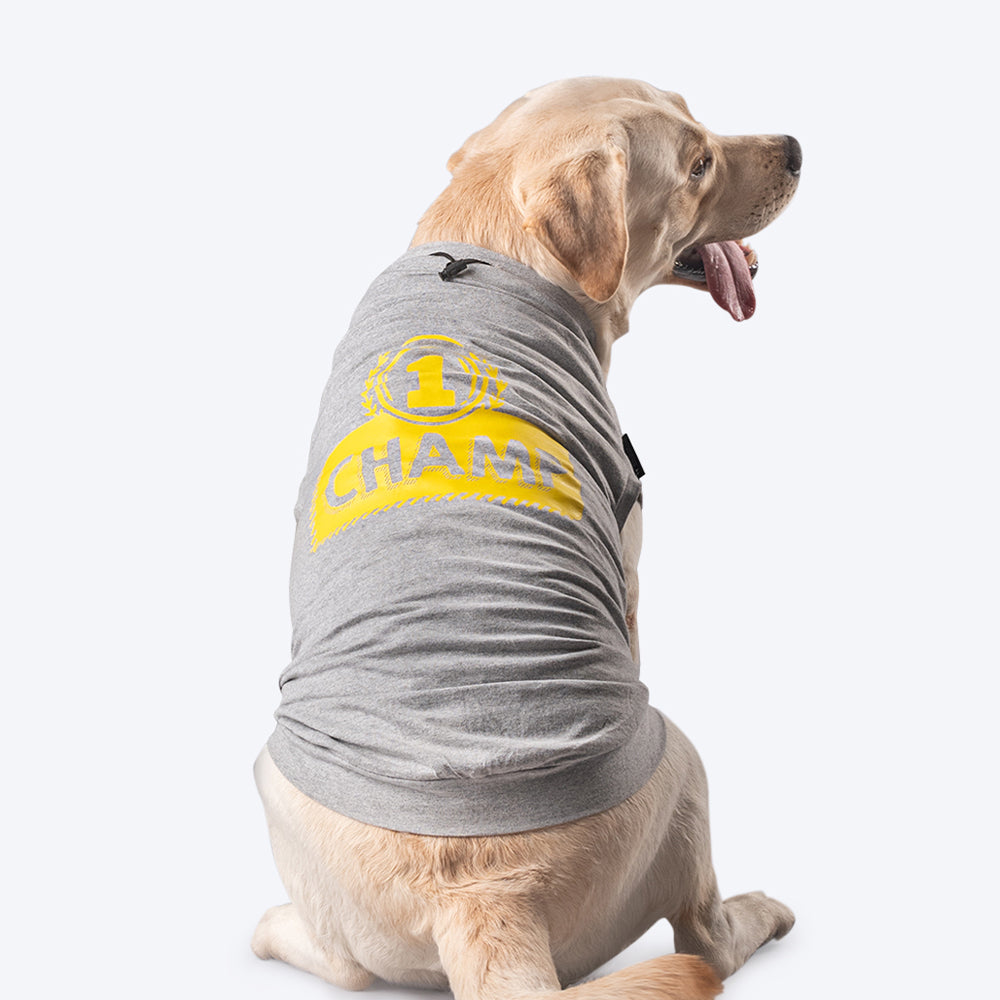 HUFT Sports Champ Dog Tshirt - Heads Up For Tails
