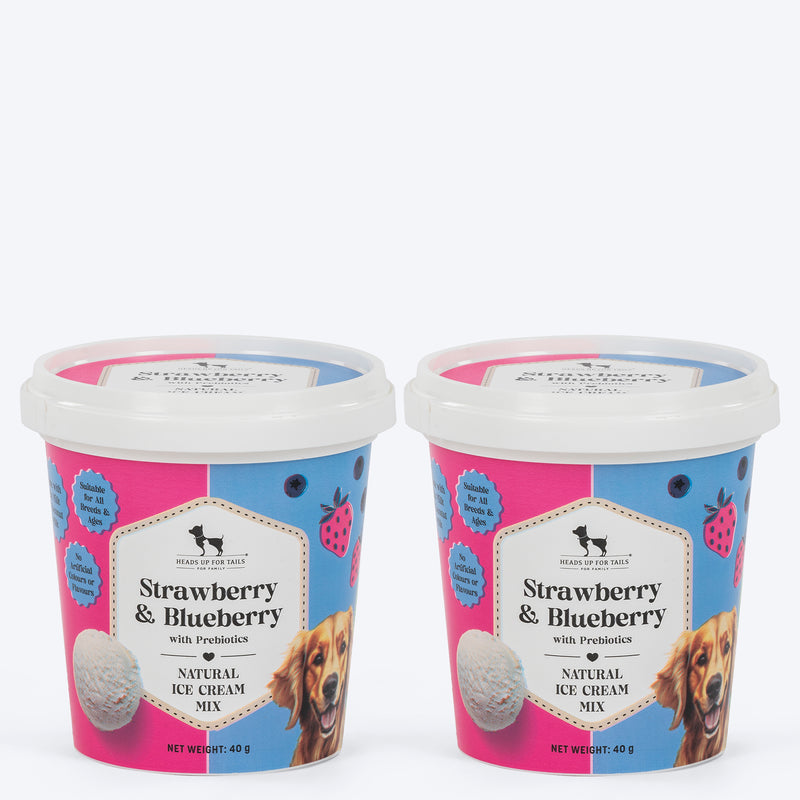 HUFT Ice Cream Strawberry & Blueberry With Prebiotics Mix Treat For Dog - 40 gm - Heads Up For Tails