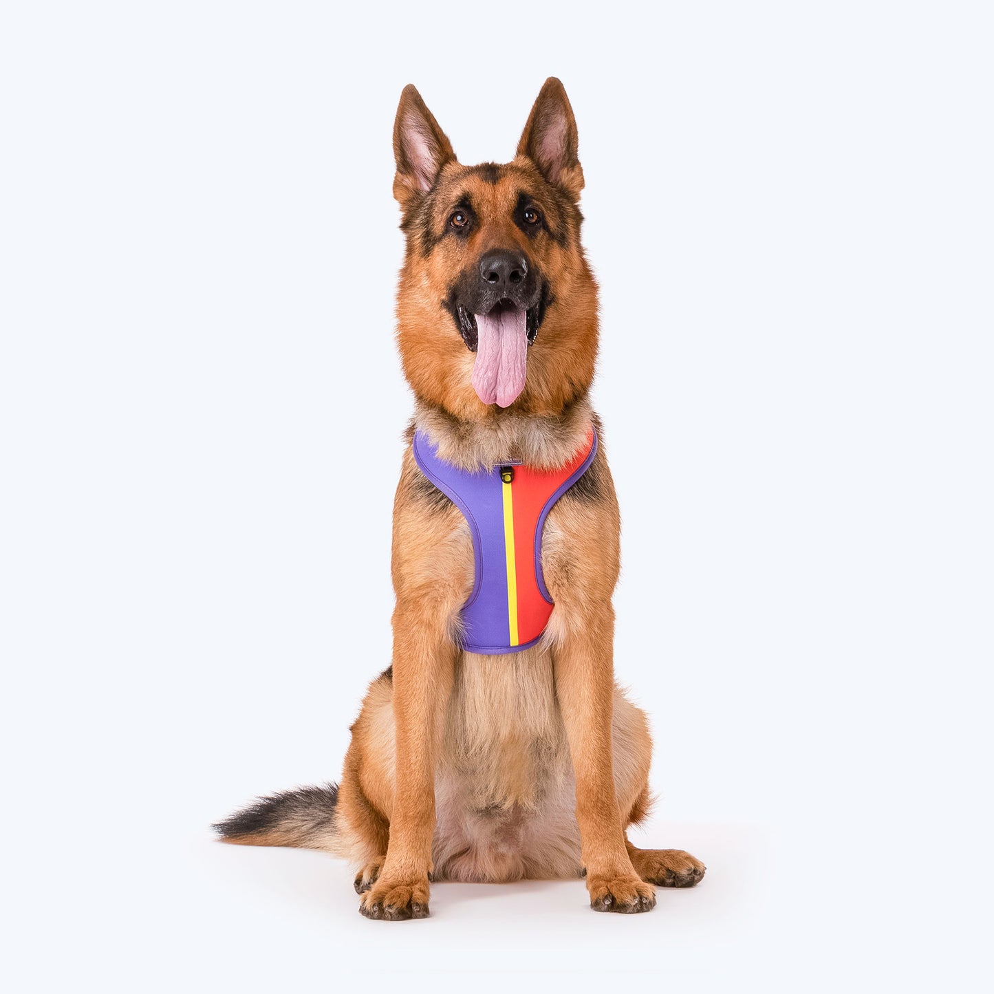 HUFT Sunny Stride Dog Reversible Harness - Heads Up For Tails