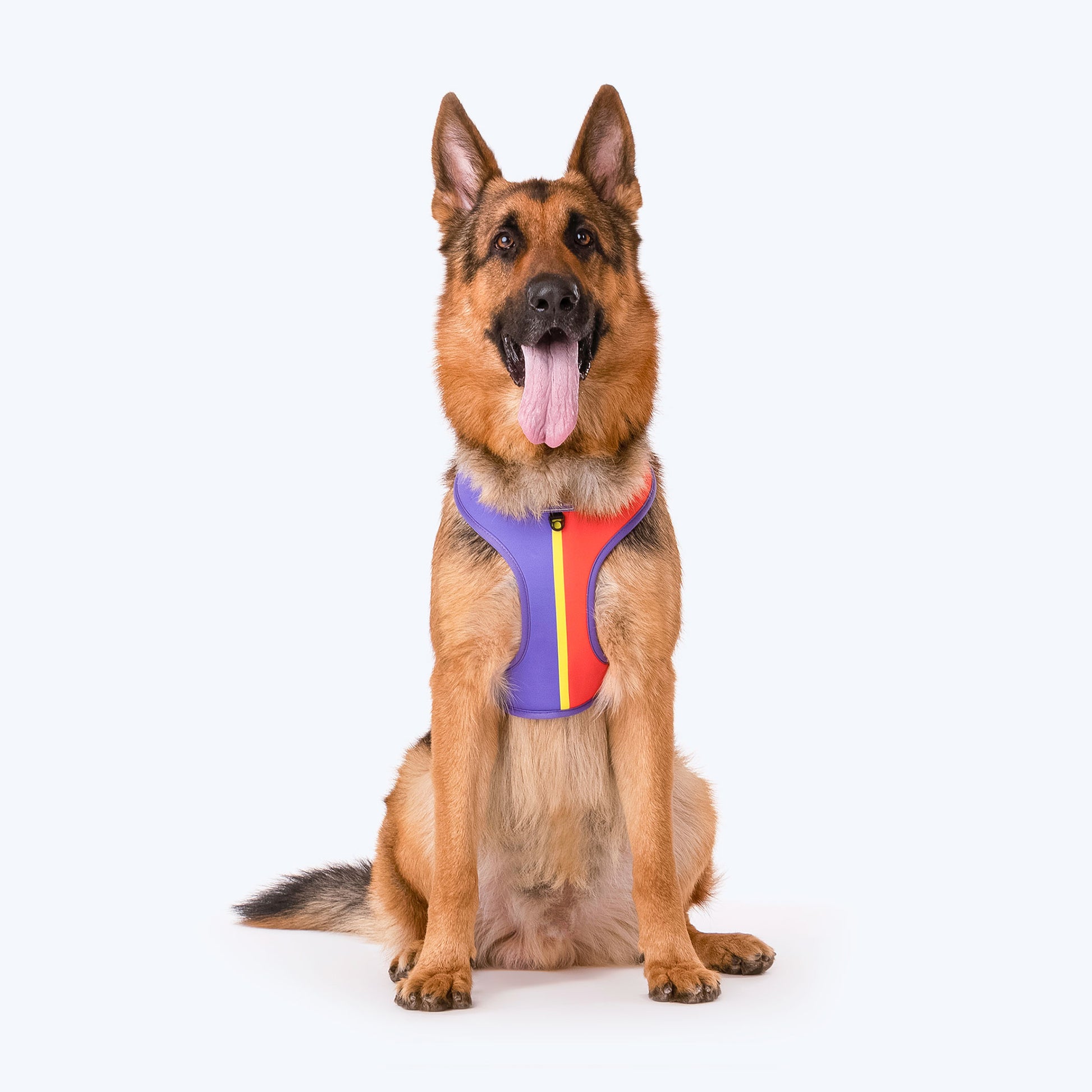 HUFT Sunny Stride Dog Reversible Harness - Heads Up For Tails