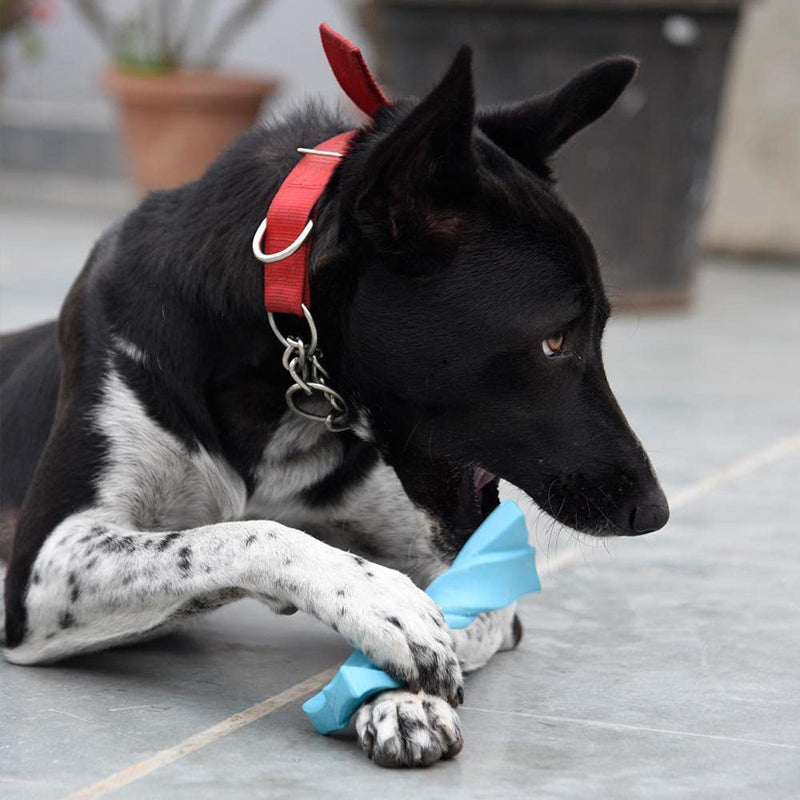 HUFT Twistee Collection Dog Chew Toy - Gnaw Bone_03