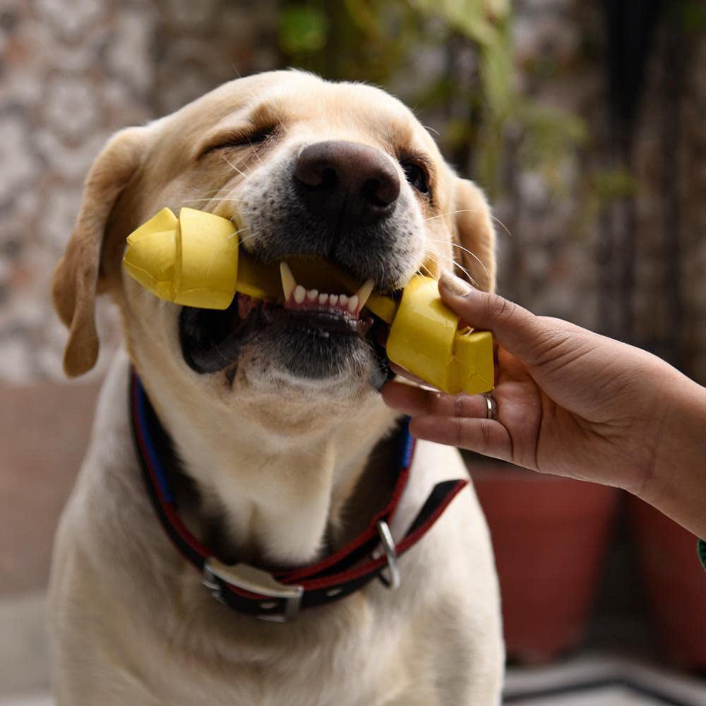 HUFT Twistee Collection Dog Chew Toy - Fetch & Chew_04