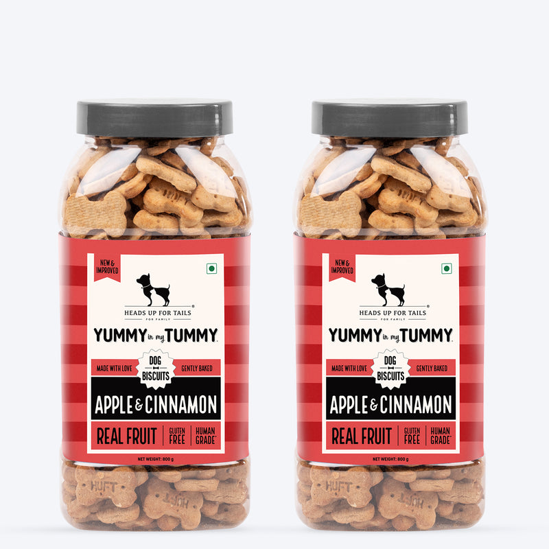 HUFT Yummy In My Tummy Apple & Cinnamon Vegetarian Gluten Free Dog Biscuit - Heads Up For Tails