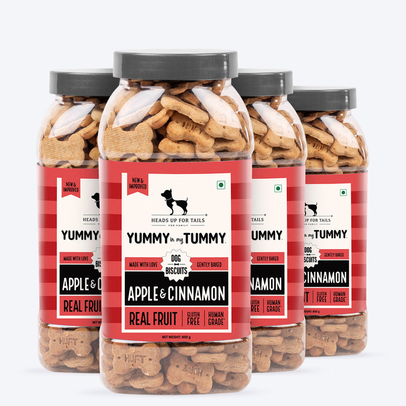 HUFT Yummy In My Tummy Apple & Cinnamon Vegetarian Gluten Free Dog Biscuit - Heads Up For Tails