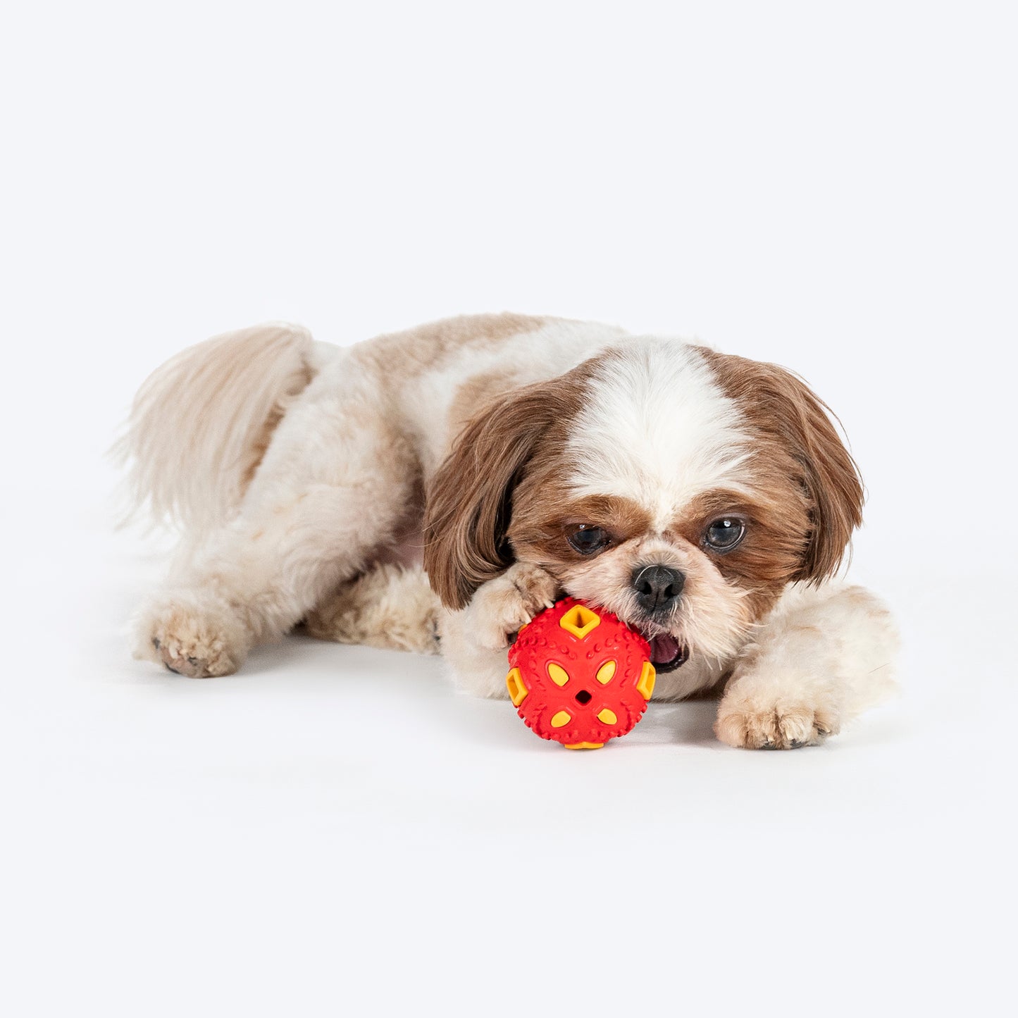 HUFT Chewtastic Eggs-Tra Chew Toy For Dog - Red & Yellow - Heads Up For Tails