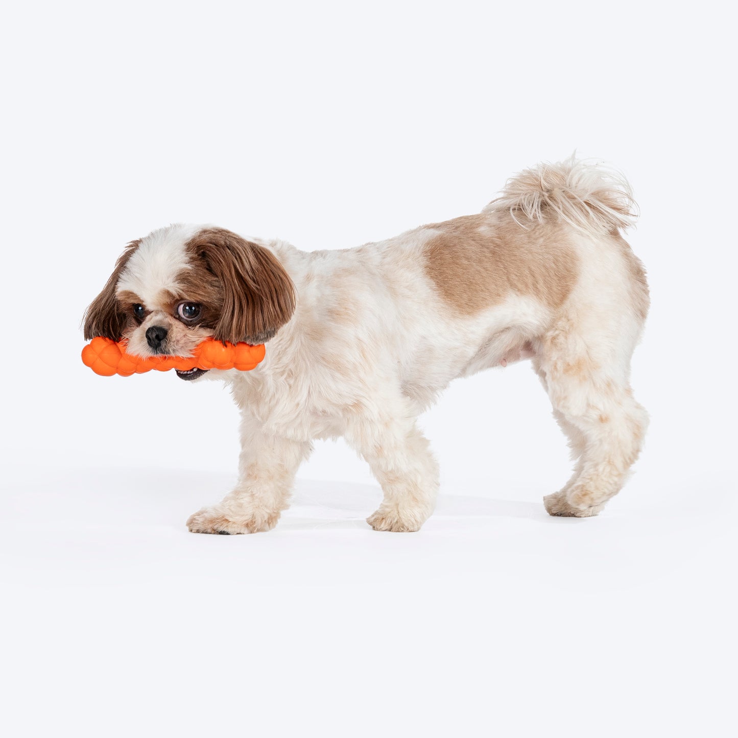 HUFT Chewtastic Puff Chew Toy For Dog - Orange - Heads Up For Tails