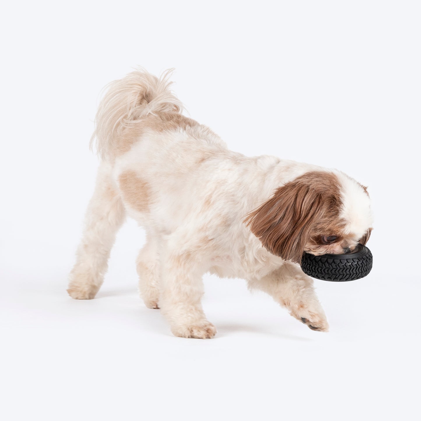 HUFT Chewtastic Spin-N-Chew Dog Toy- Black - M - Heads Up For Tails
