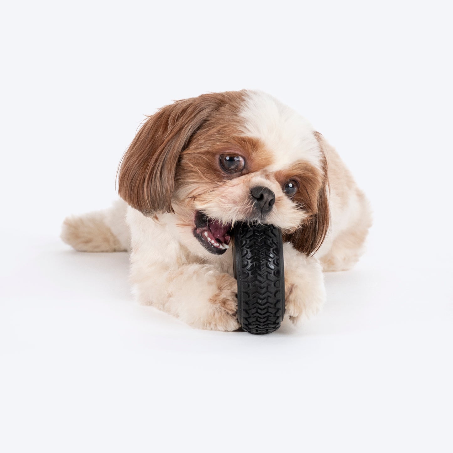 HUFT Chewtastic Spin-N-Chew Dog Toy- Black - M - Heads Up For Tails