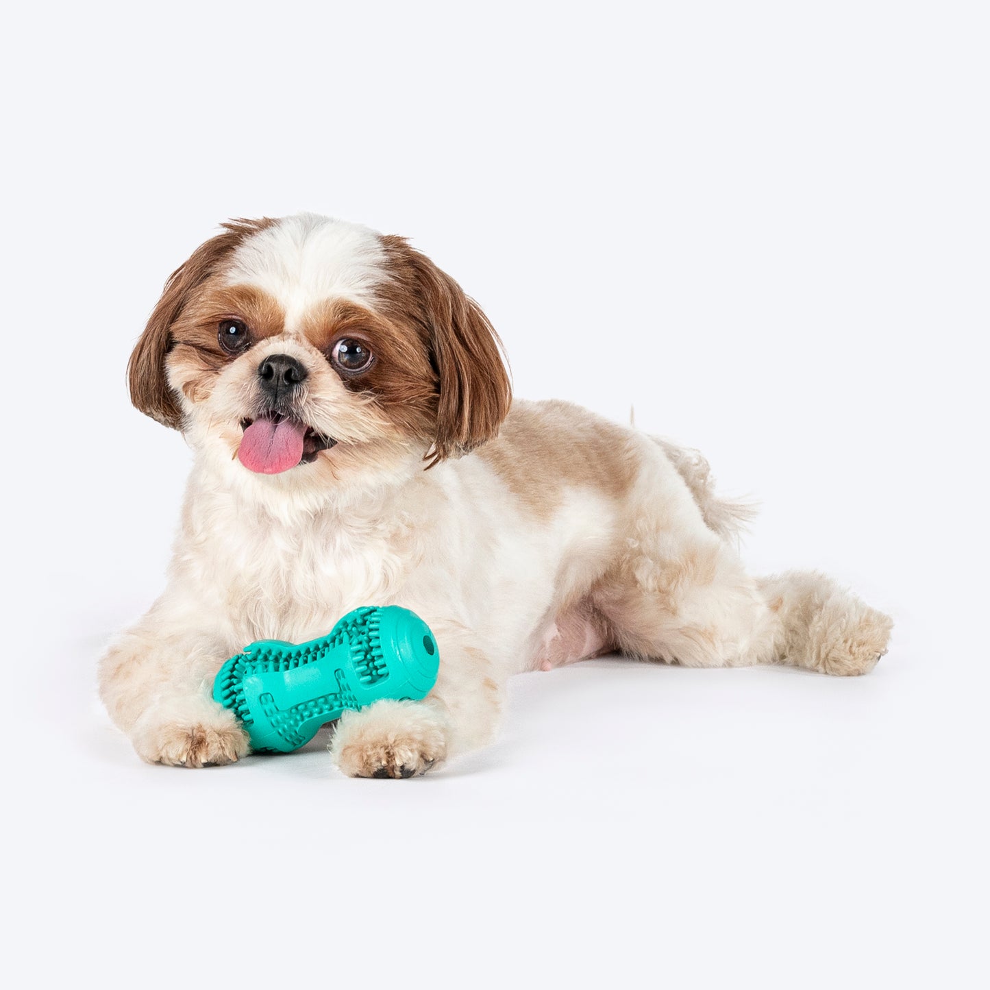HUFT Chewtastic Striker Chew Dog Toy - Mint Green - Heads Up For Tails