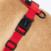 HUFT Classic H Harness For Dog - Cherry Red_04