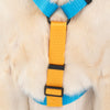 HUFT Classic H Harness For Dog - Ocean Blue_04