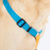 HUFT Classic H Harness For Dog - Ocean Blue_05