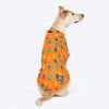HUFT Confetti Love T-Shirt For Dog - Orange - Heads Up For Tails