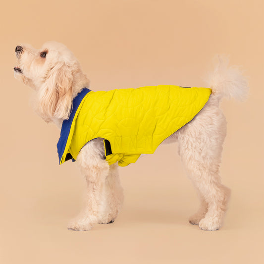HUFT Cosy Pupper Reversible Dog Jacket - Lime Green