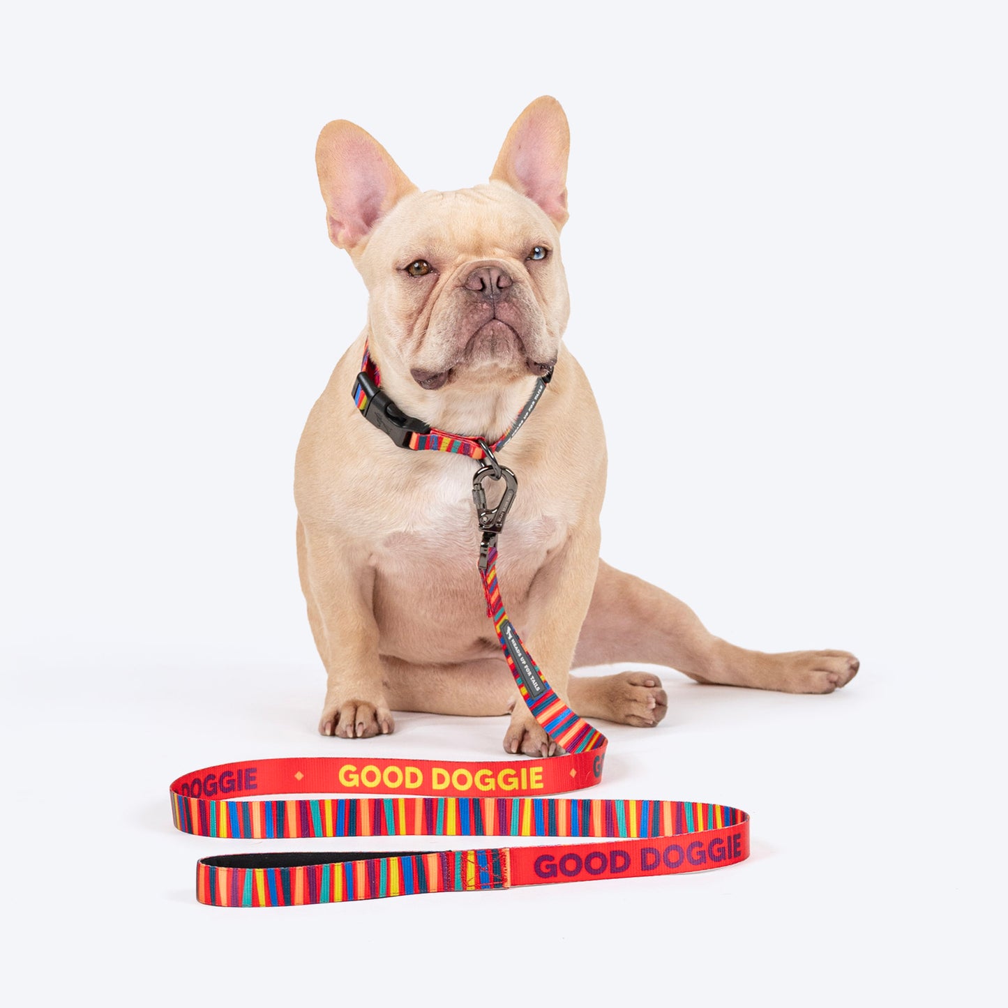 HUFT Good Doggie Leash For Dog - Multicolor_02