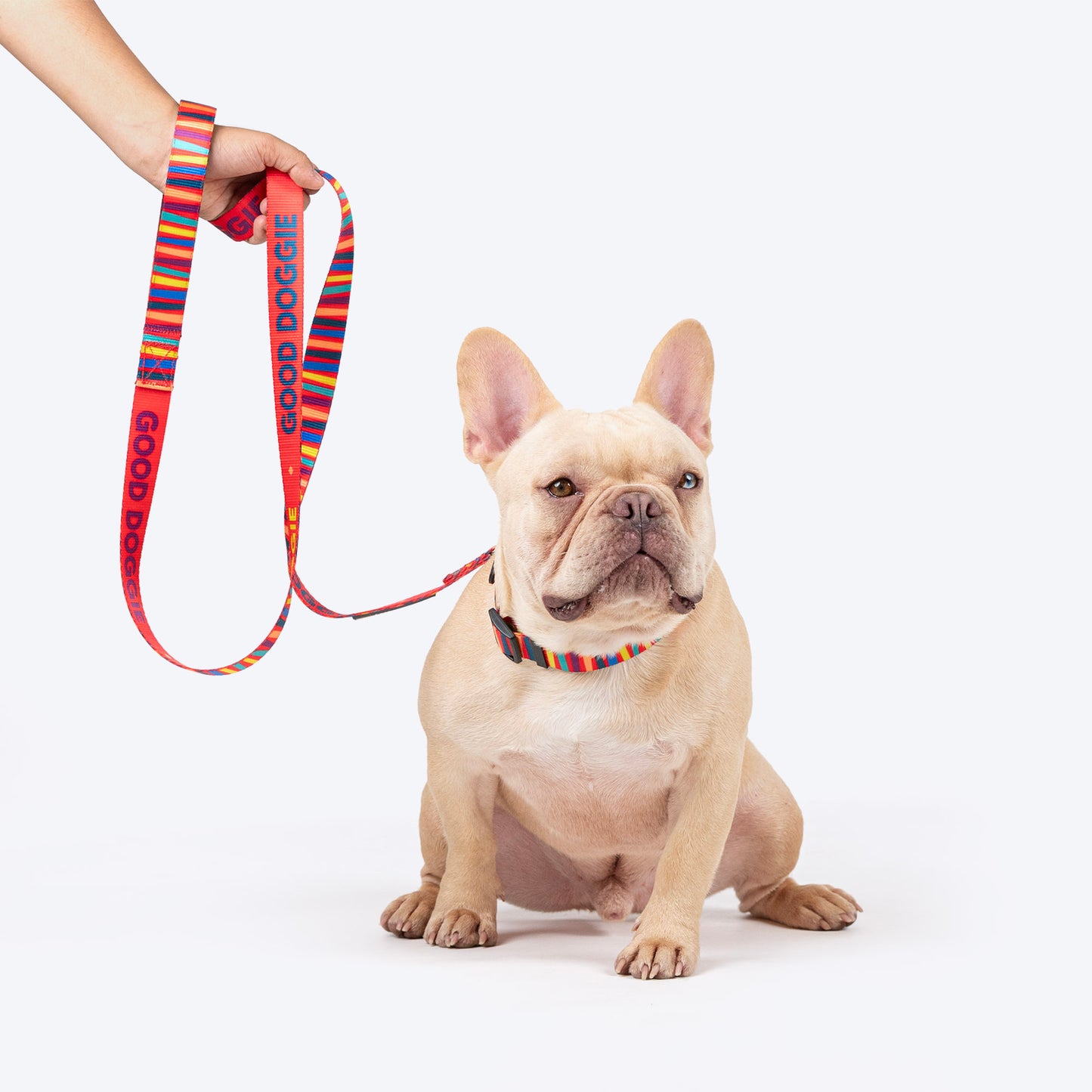 HUFT Good Doggie Leash For Dog - Multicolor_03