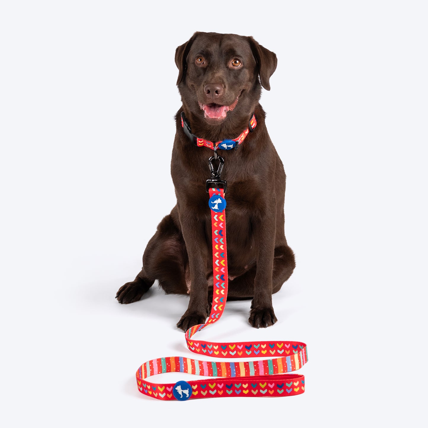 HUFT Heart to Heart Leash For Dog - Red - Heads Up For Tails