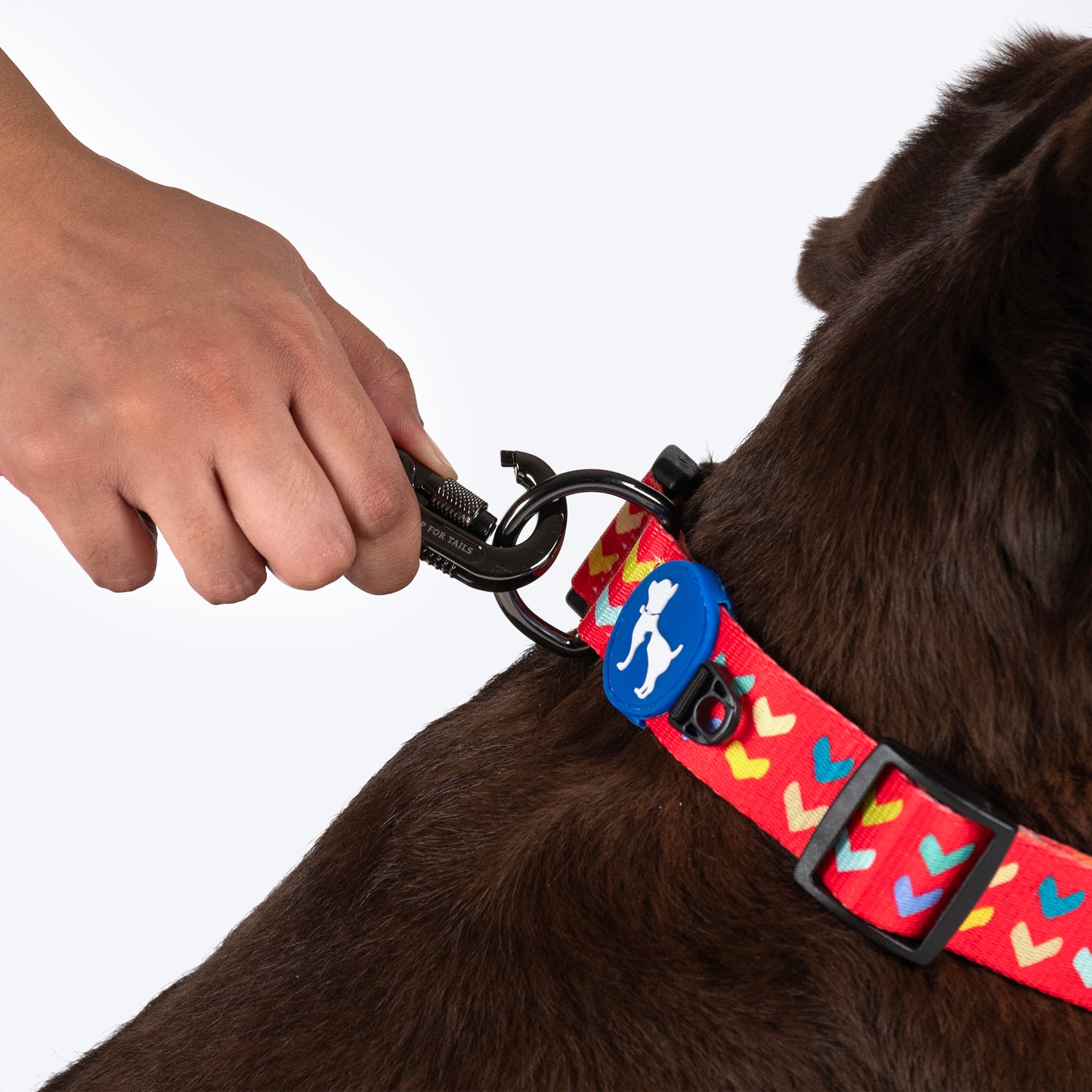 HUFT Heart to Heart Leash For Dog - Red - Heads Up For Tails
