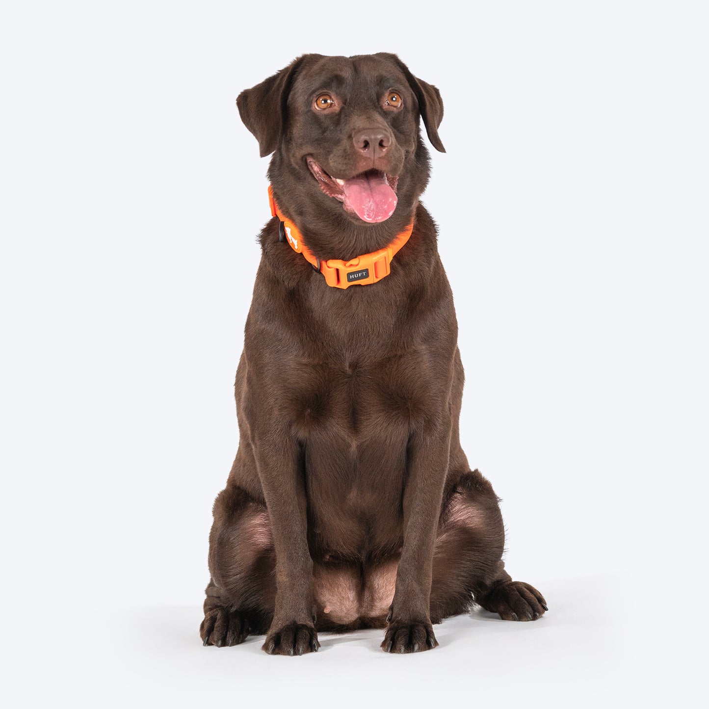 HUFT Hive Harmony Waterproof Collar and Leash Set For Dog - Orange - Heads Up For Tails