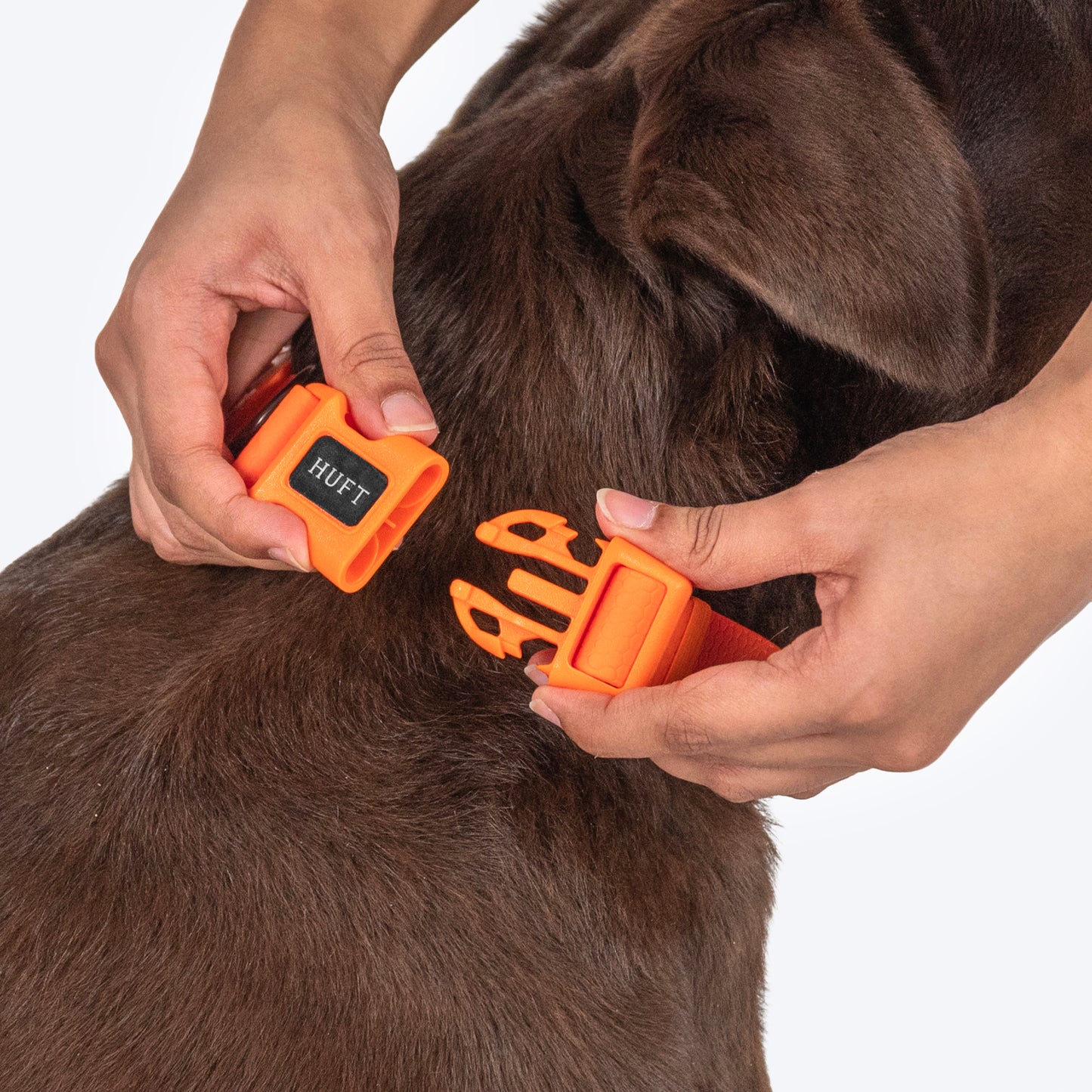 HUFT Hive Harmony Waterproof Collar and Leash Set For Dog - Orange - Heads Up For Tails