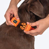HUFT Hive Harmony Waterproof Collar and Leash Set For Dog - Orange - Heads Up For Tails