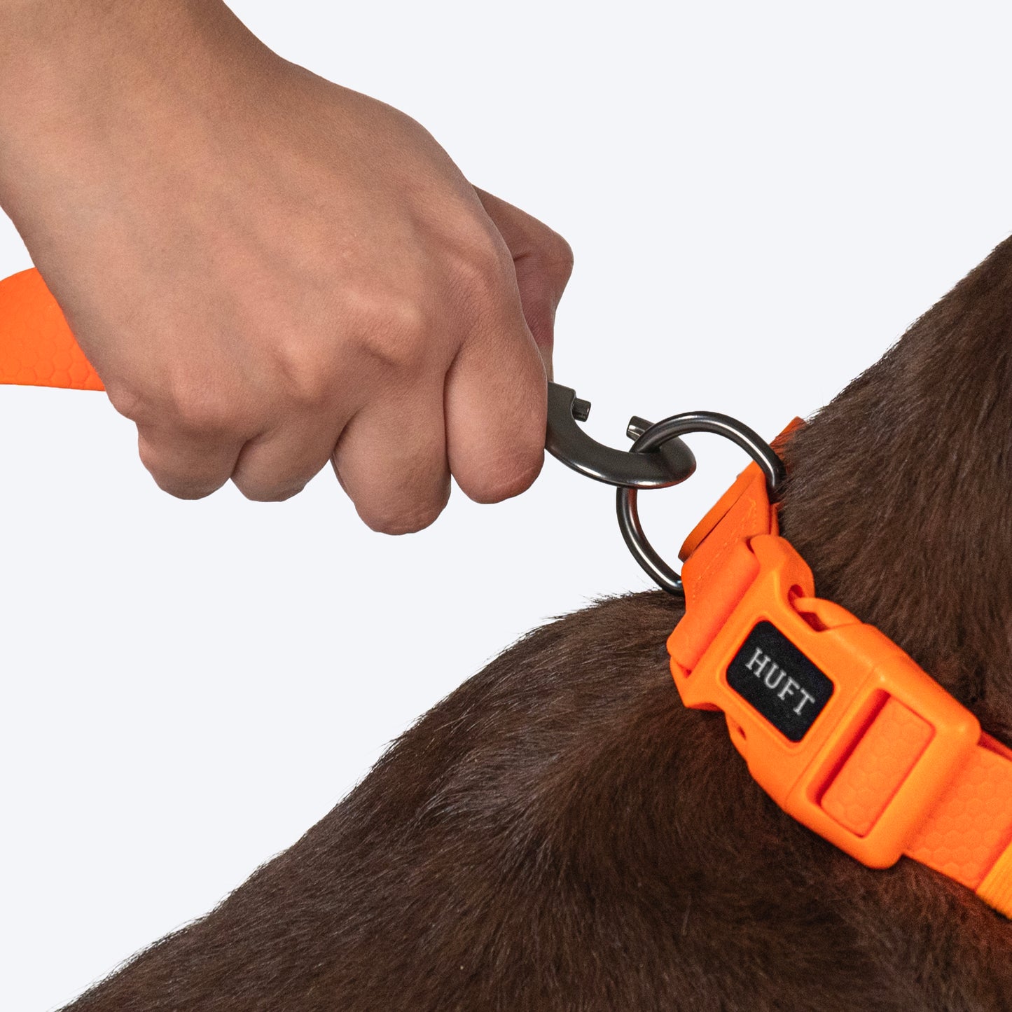 HUFT Hive Harmony Waterproof Collar and Leash Set For Dog - Orange - Heads Up For Tails