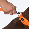 HUFT Hive Harmony Waterproof Collar and Leash Set For Dog - Orange - Heads Up For Tails