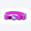 HUFT Hive Harmony Waterproof Collar and Leash Set For Dog - Purple - Heads Up For Tails