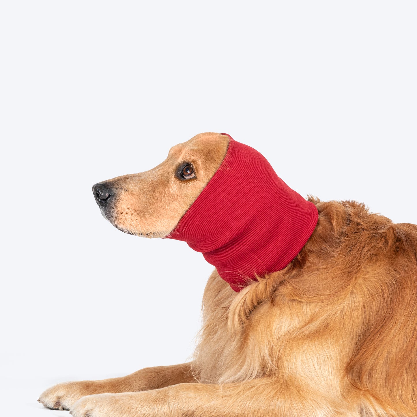 HUFT Noise-Out Hoodies - Doggie Ear Muffs - Red_03