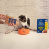 Sara's Wholesome Grain-Free Chicken and Turkey Dog Food, 300 g, made with 60% meat and 40% fruits and vegetables.