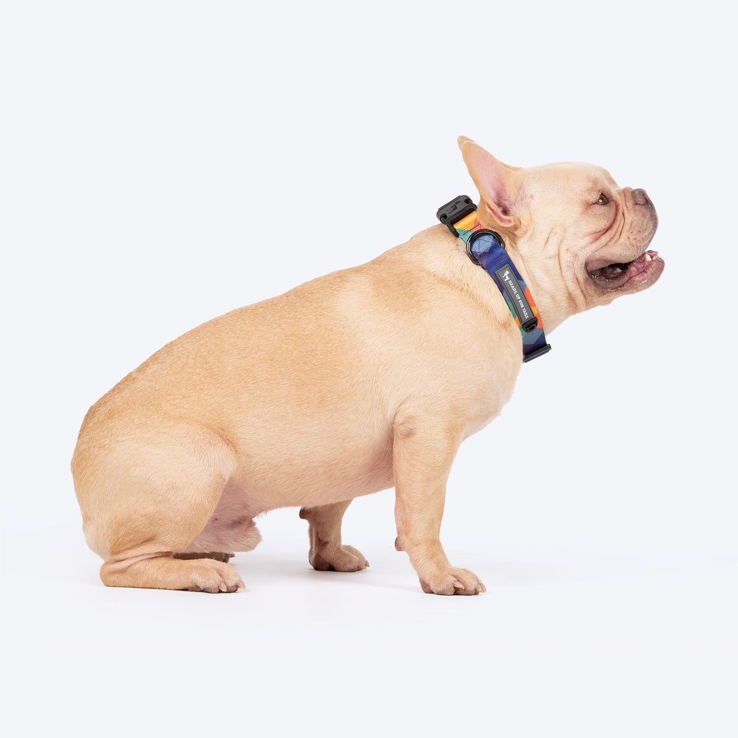 HUFT Technicolor Tartan Collar For Dog - Multicolor_03