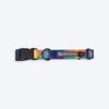HUFT Technicolor Tartan Collar For Dog - Multicolor_04