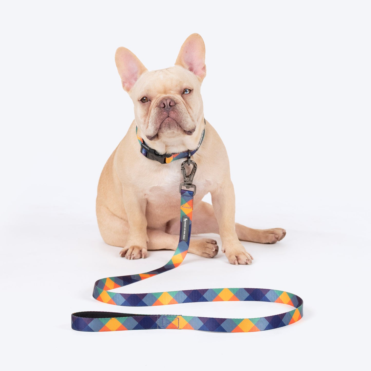HUFT Technicolor Tartan Leash For Dog - Multicolor_02