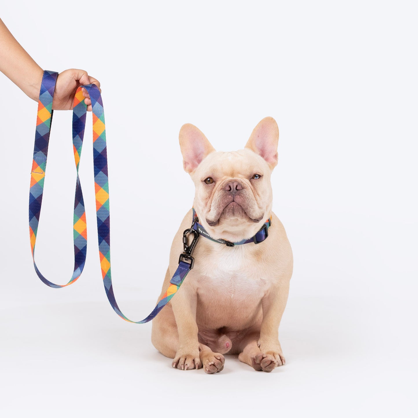 HUFT Technicolor Tartan Leash For Dog - Multicolor_03