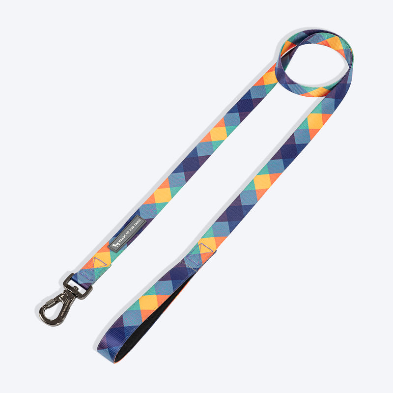 HUFT Technicolor Tartan Leash For Dog - Multicolor_04
