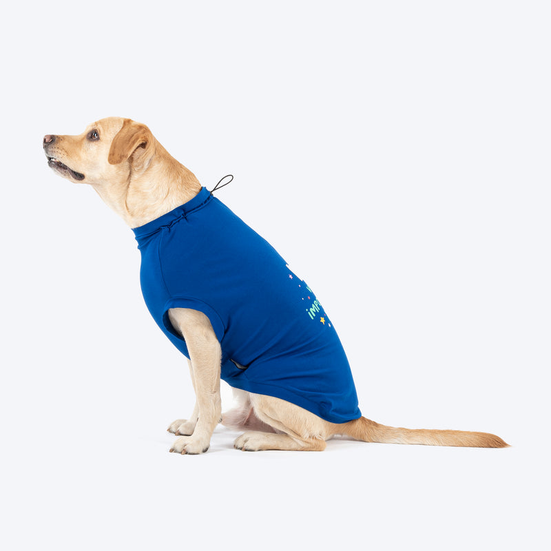 HUFT VIP T-shirts For Dog - Blue_03