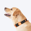 HUFT Xplorers Collar For Dog - Black_03