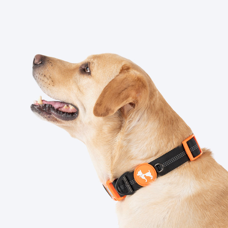 HUFT Xplorers Collar For Dog - Black_03